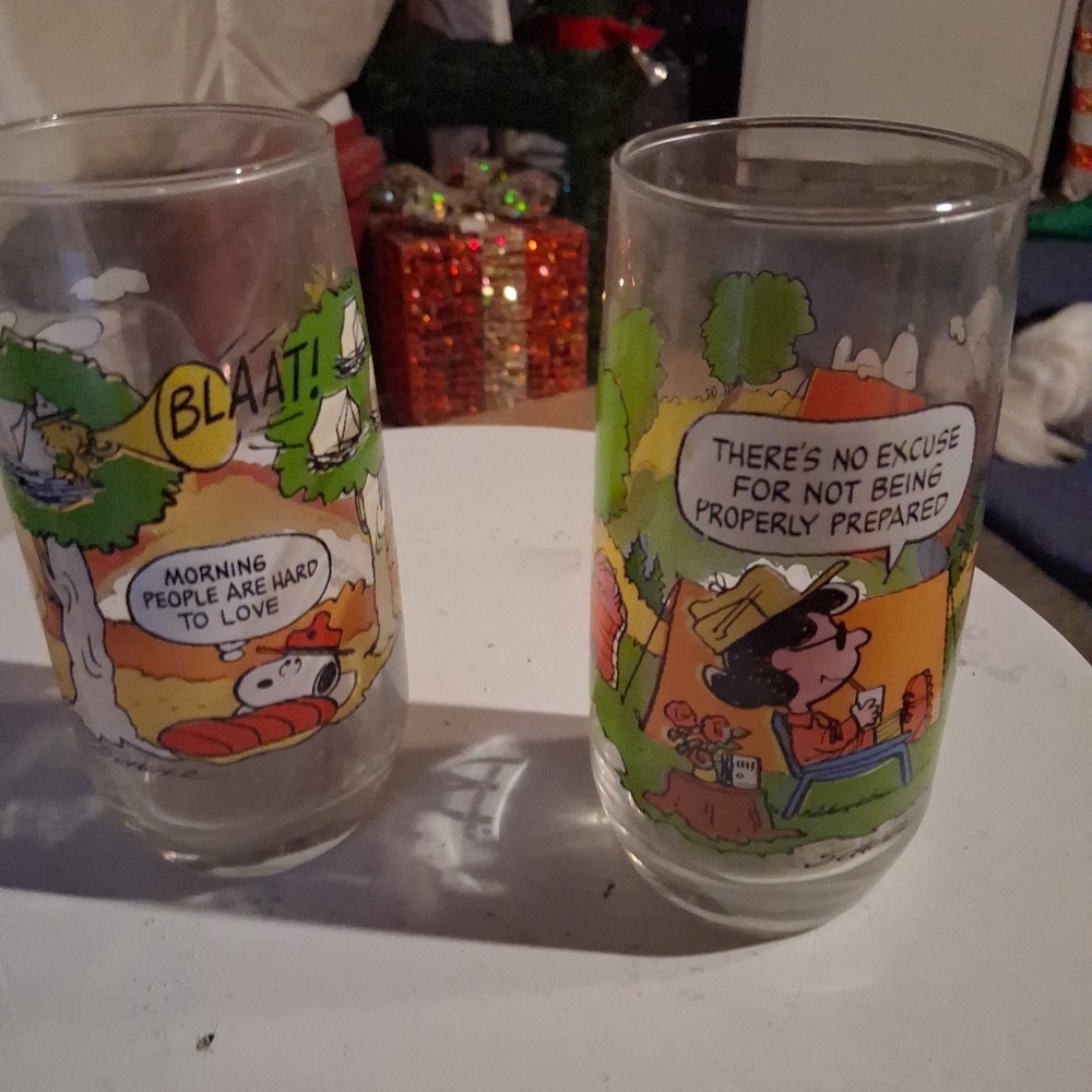 Vintage 1970s McDonalds Camp Snoopy Collectable Glasses